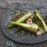 Food_Fenchel_Tino
